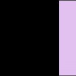 黑色 / 粉紫 (BK/LC)